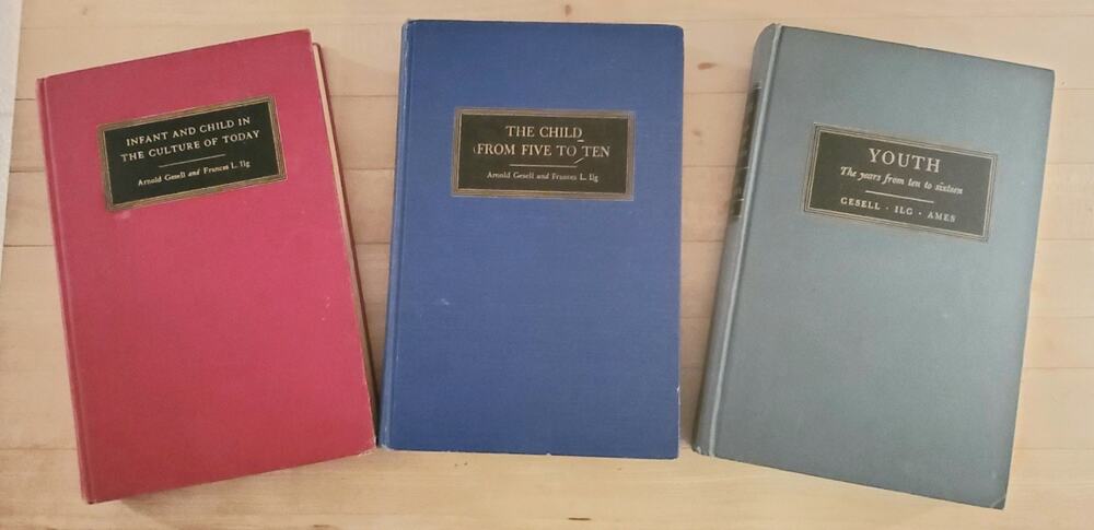 VINTAGE Gesell , Ilg And Ames, Child Care Book Lot Of 3